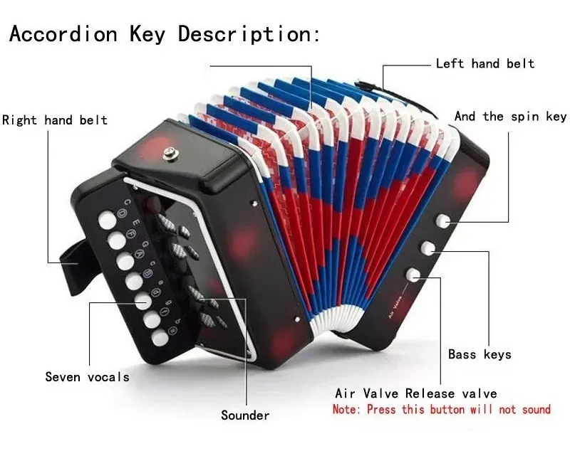 Comprar Acordeon Infantil Vallenato Ninos Aprend en Electroshopy - Ángulo 2